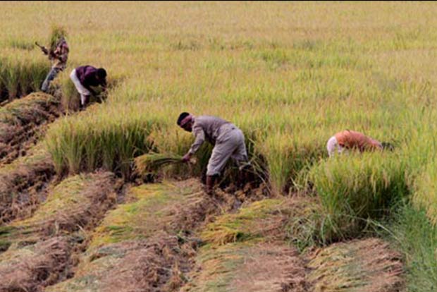 TNs first agriculture budget dedicated to protesting farmers in Delhi