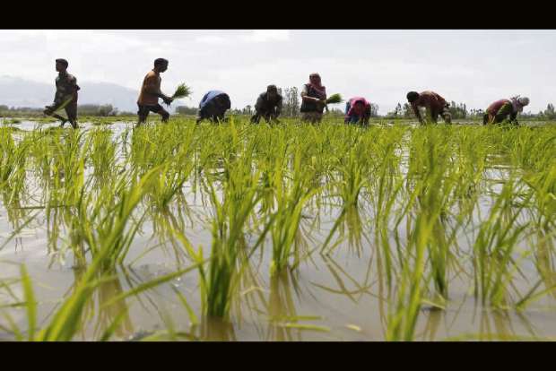 Panneerselvam in good ‘farm’, say ryots in southern dists