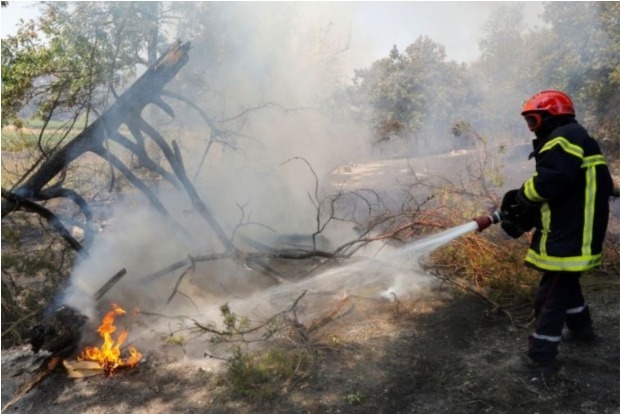 Campsites evacuated as France battles wildfire near Saint-Tropez