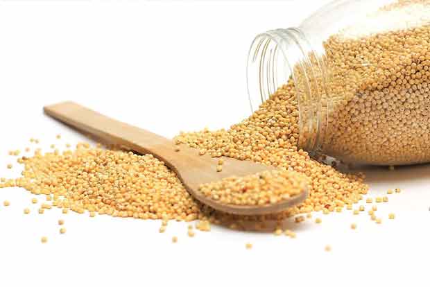 Millets can reduce risk of developing cardiovascular disease Millets can reduce risk of developing cardiovascular disease