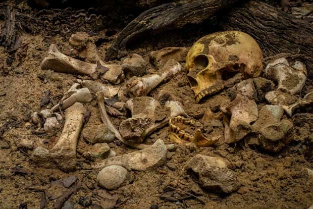 Bags with ‘human’ skull, skeletons create panic Bags with ‘human’ skull, skeletons create panic