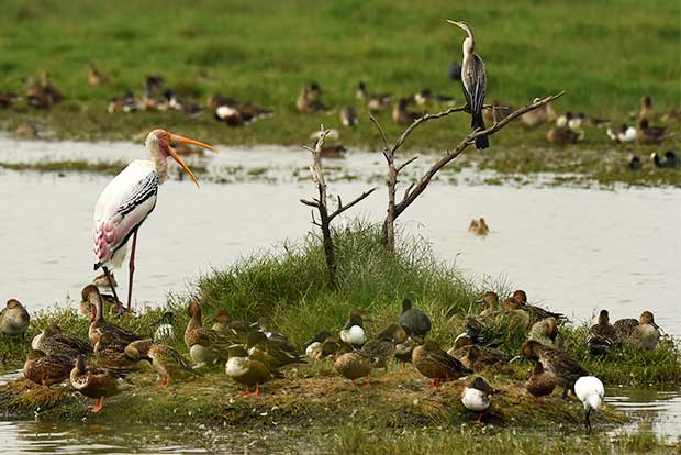 Opening of Villivakkam lake for public to be delayed