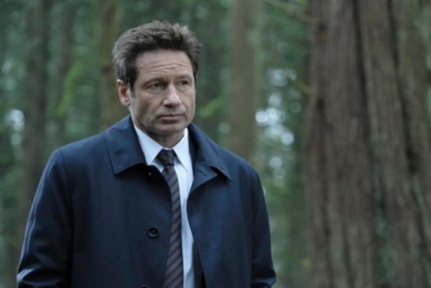David Duchovny says scientologists tried to recruit him