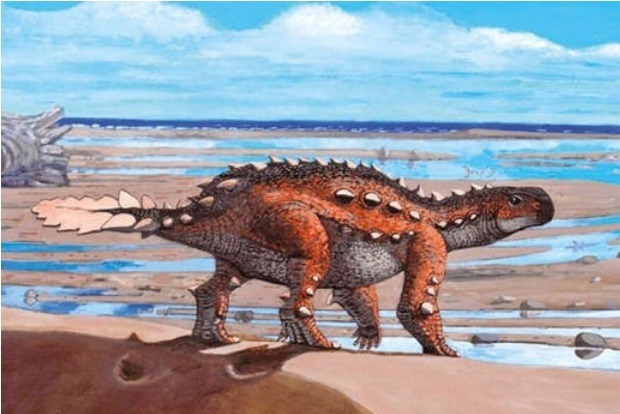 This dinosaur found in Chile had a battle-axe for a tail