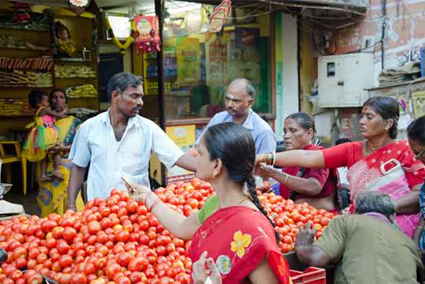 Tomato price to remain high for at least a month