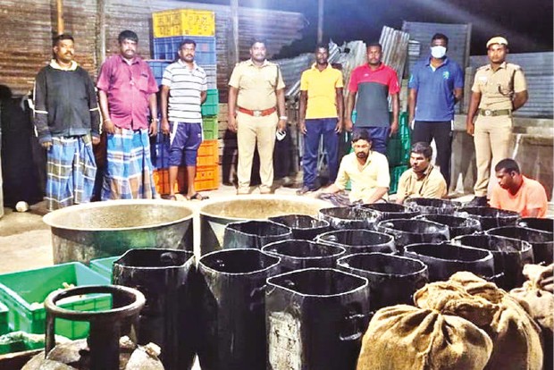750 kg sea cucumbers seized from unit in Thoothukudi, 3 arrested