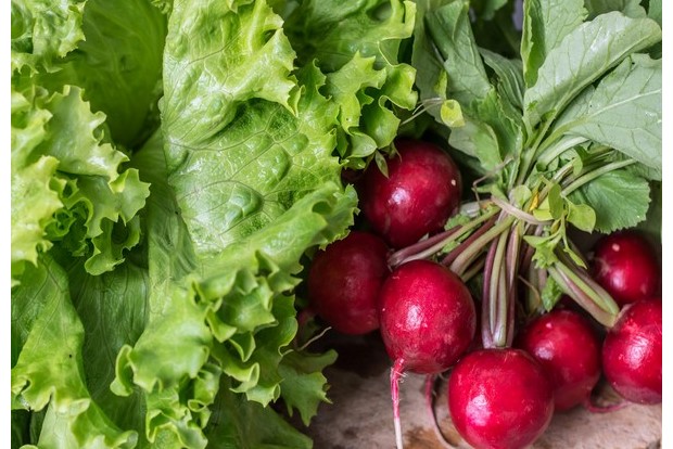 Plant-based diet reduces risk of cognitive impairment in the elderly: Study