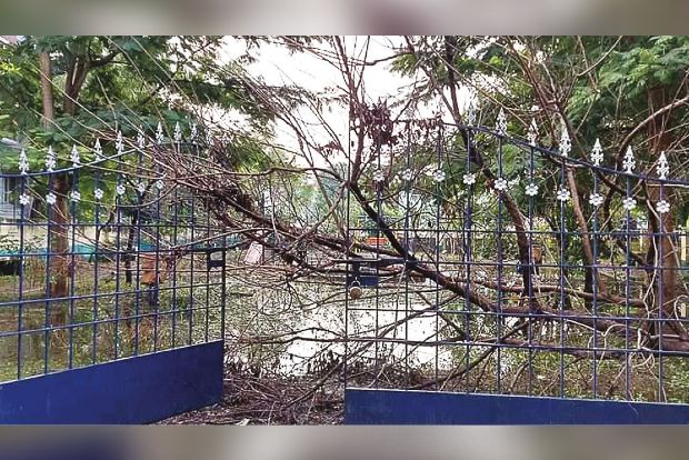 Chitlapakkam park remains inundated weeks after rain, poses dengue threat to residents Chitlapakkam park remains inundated weeks after rain, poses dengue threat to residents
