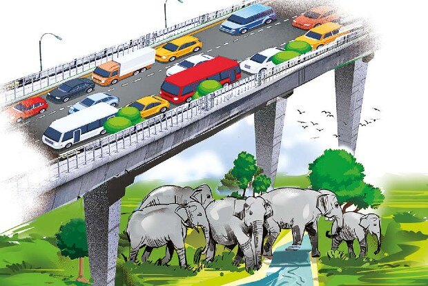 Flyover at Kallar jumbo corridor soon, says Highways Minister EV Velu