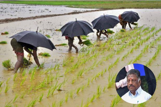 Increase compensation for crops damaged during floods, demands OPS