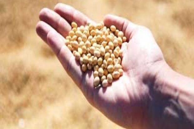 Government imposes stocks limit on soya meal