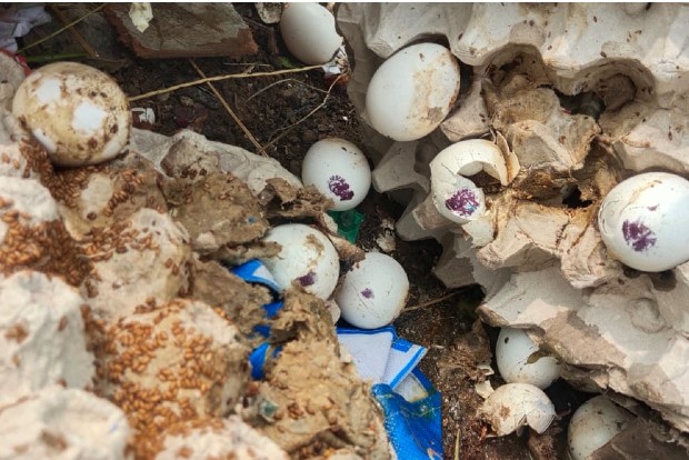 Rotten eggs in noon meal scheme: Three including HM suspended in Karur