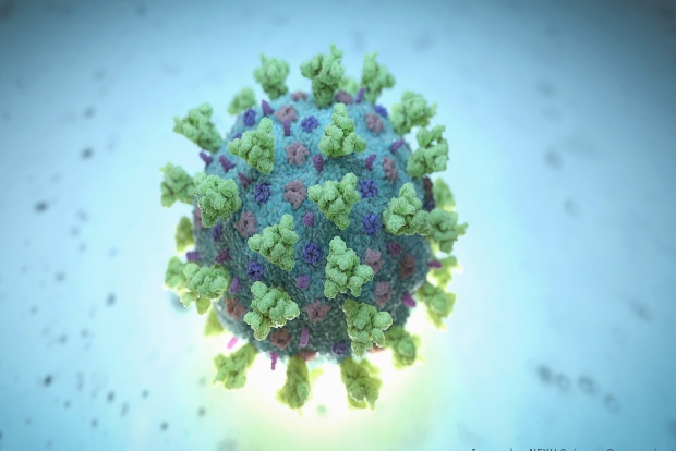 Omicron may do good by replacing Delta from world: Experts