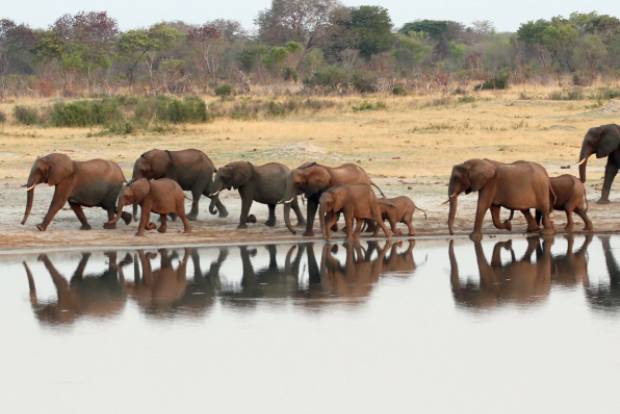 Domestic tourism booms in Zimbabwe despite curbs