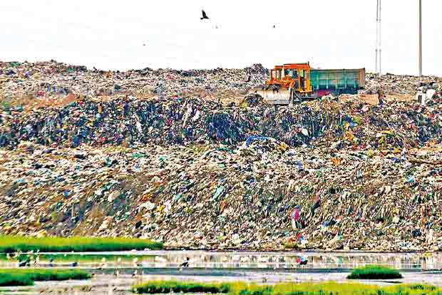 35,000 tonnes of bio-earth mined from unused dumpyards in city