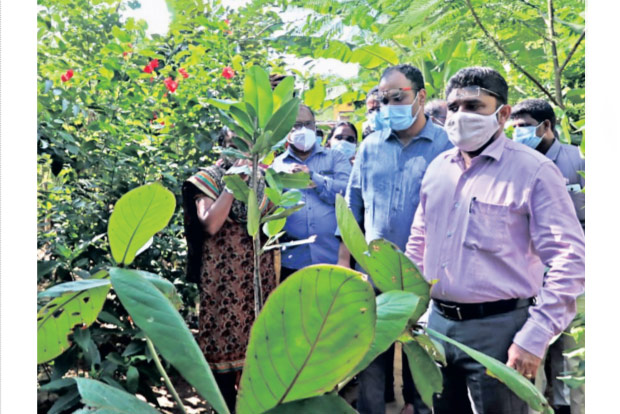 Join hands to grow Miyawaki forests: GCC to firms, RWAs Join hands to grow Miyawaki forests: GCC to firms, RWAs