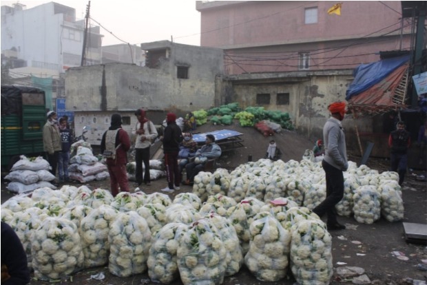UP farmer throws away 10Q cauliflowers after Re 1 per kg offer