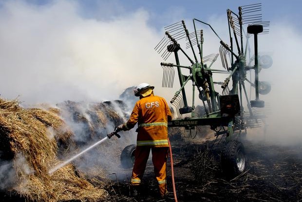 Threatened species at risk from S.Australian bushfire