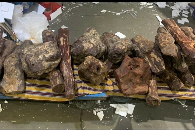 500KG Red Sanders worth 25 Lakhs seized from Chennai Airport Cargo