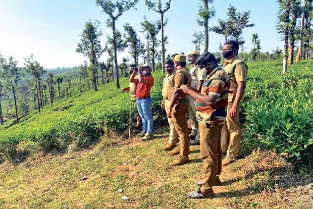 Tranquilised rogue tusker outsmarts officials again