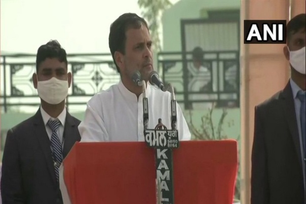 Take back new farm laws before talking to farmers: Rahul Gandhi to PM Modi