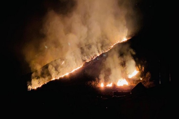 Army assists douse forest fire in Arunachal’s Anini