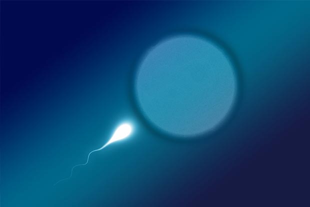 Heres how zinc could help with fertility during pandemic