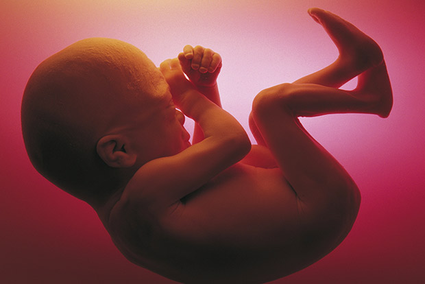 South Carolina House passes bill banning most abortions