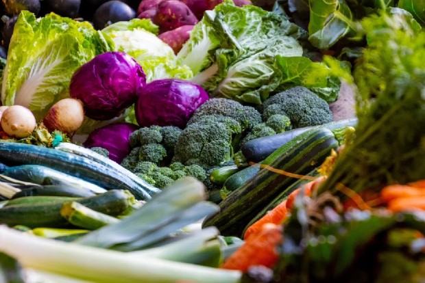 Plant-based diet may improve cardiac function, cognitive health
