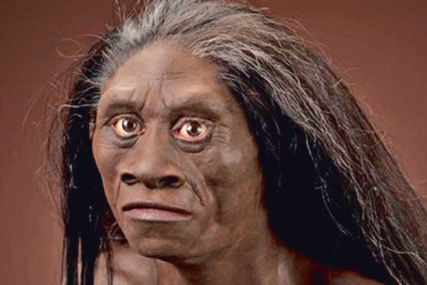 REWRITING EVOLUTION: What Darwin got wrong on gender, race, and why it matters