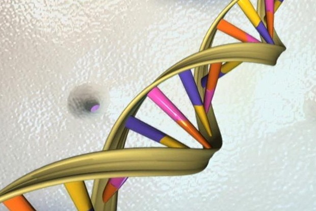 64 full human genomes sequenced at high-res
