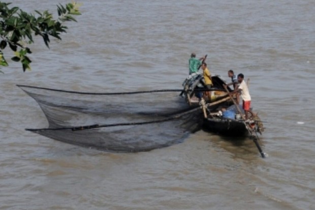 CMFRI cautions fishermen on oil sardines