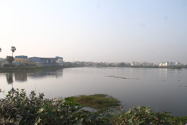 Farmers resist Kadapakkam lake restoration fearing irrigation restrictions