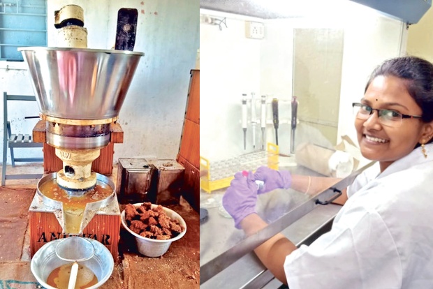 City researcher helps farmers make wood-pressed oils