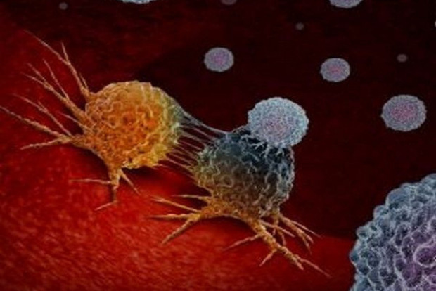 Gut Disease Linked To Brain Injury In Premature Infants: Study