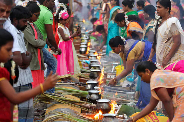 BJP plans to reach out via grand Pongal celebrations