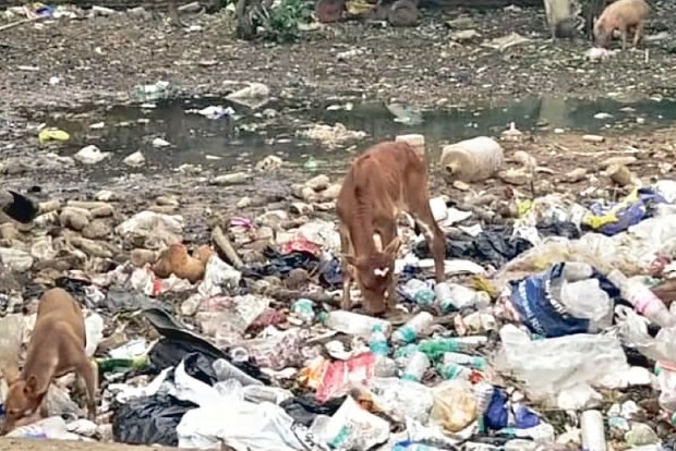 Panchayat office turns garbage transit station in Nedukundram Panchayat office turns garbage transit station in Nedukundram