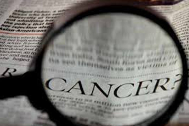 Ovarian cancer cells adapt to their surroundings to aid tumour growth: Study