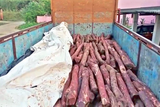 5 tonnes red sanders seized from abandoned lorry