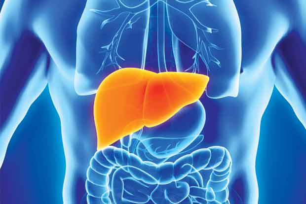 Green med diet cuts non-alcoholic fatty liver disease by half: Study