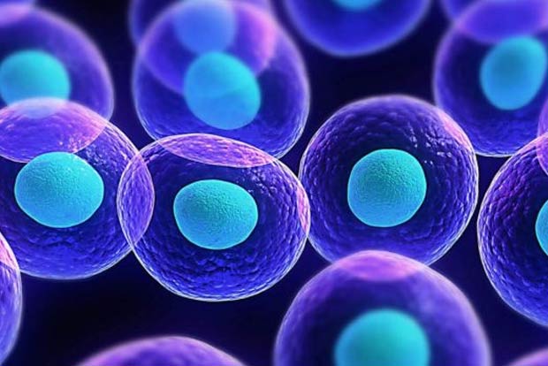 New computational technique differentiates between cancer and normal cells within tumour samples: Study