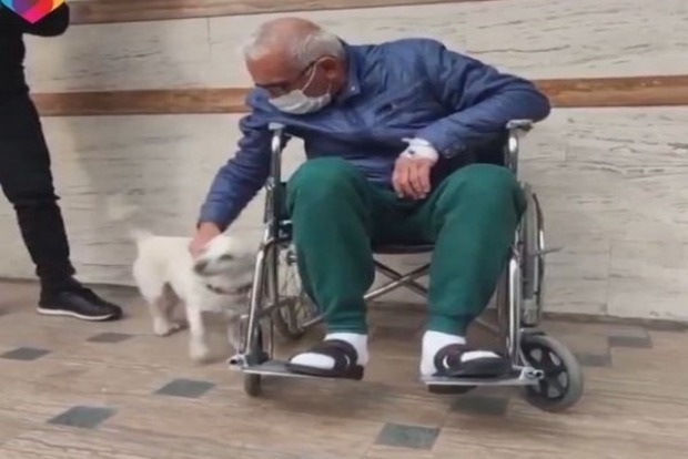 Dog waits outside Turkish hospital for days for owner