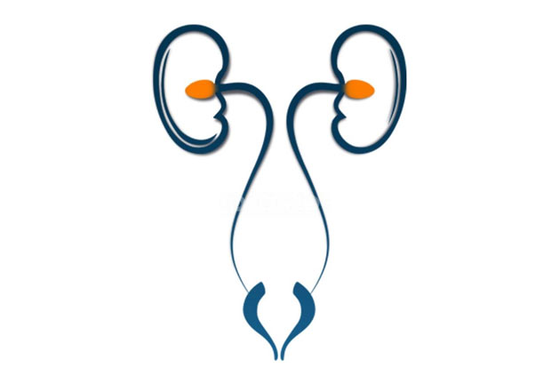 Rise in prostate-related urinary problems during winter session