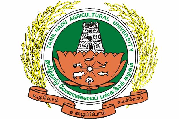 TNAU, Nigerian institute ink pact for research on bananas