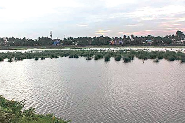 First bench closes PIL seeking to restore Chitlapakkam lake