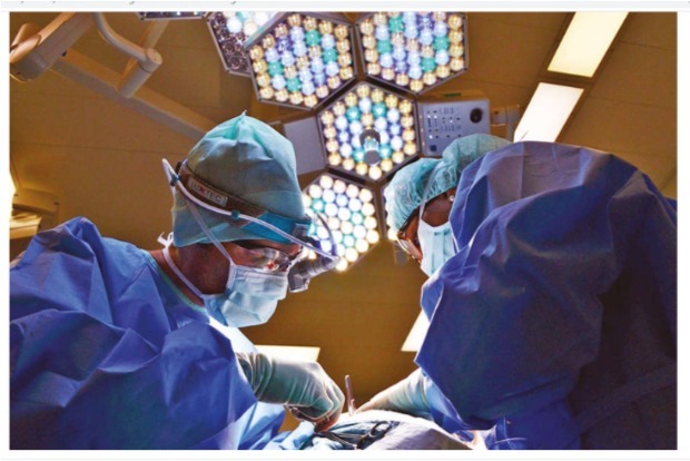 Honouring a noble profession known for selfless service