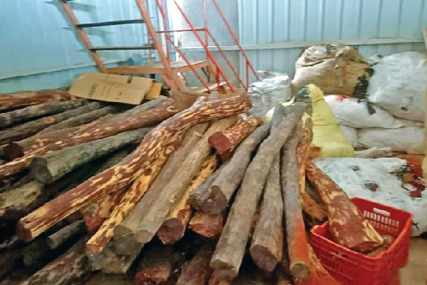 Eight tonnes of red sanders seized from tiles godown