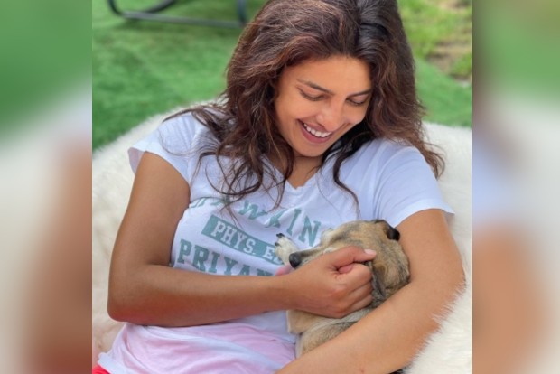 Priyanka Chopra shares glimpse of her with pet pup