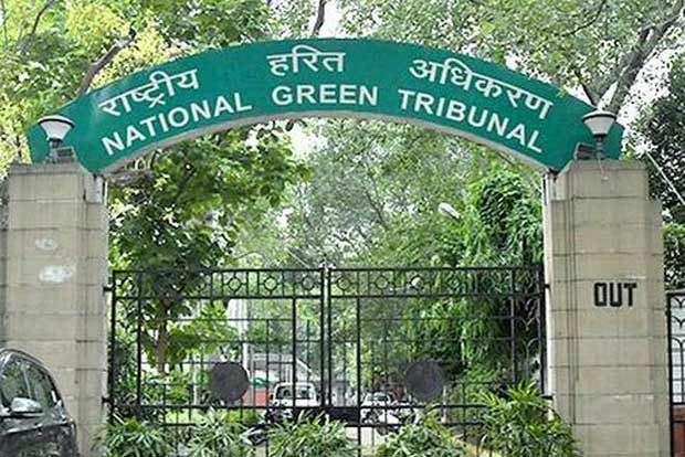 Public parks cant be used for social, cultural function: NGT