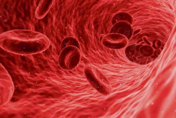 Treatment with blood thinners may reduce death in Covid patients